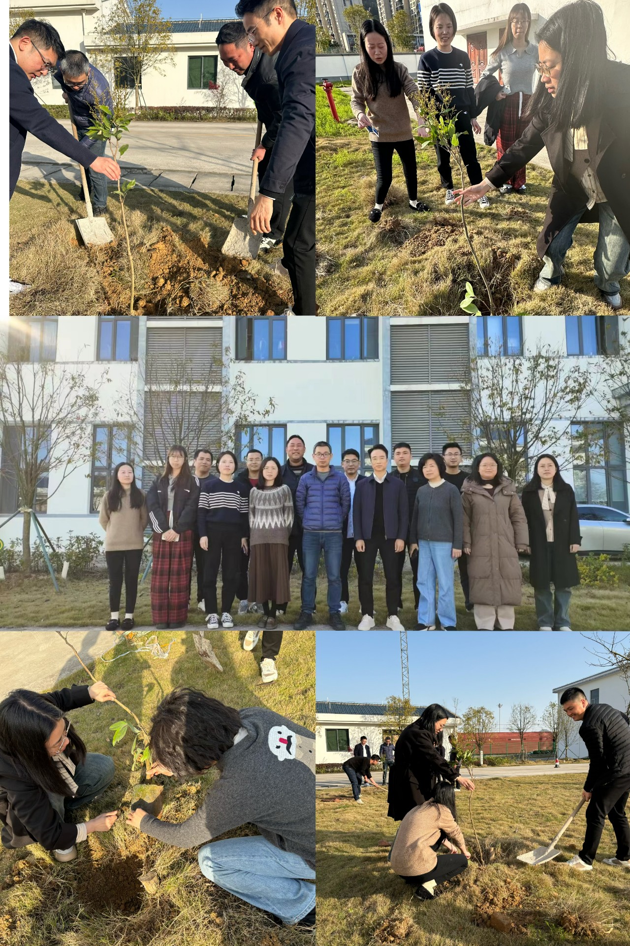 1710378898864615.jpg 2024-3-12綠色陸港,美麗寧德,阮克妙拍攝.jpg