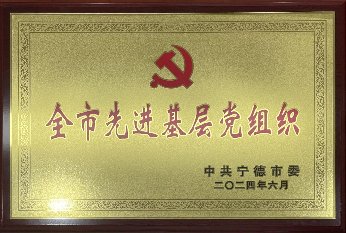 全市先進基層黨組織.png